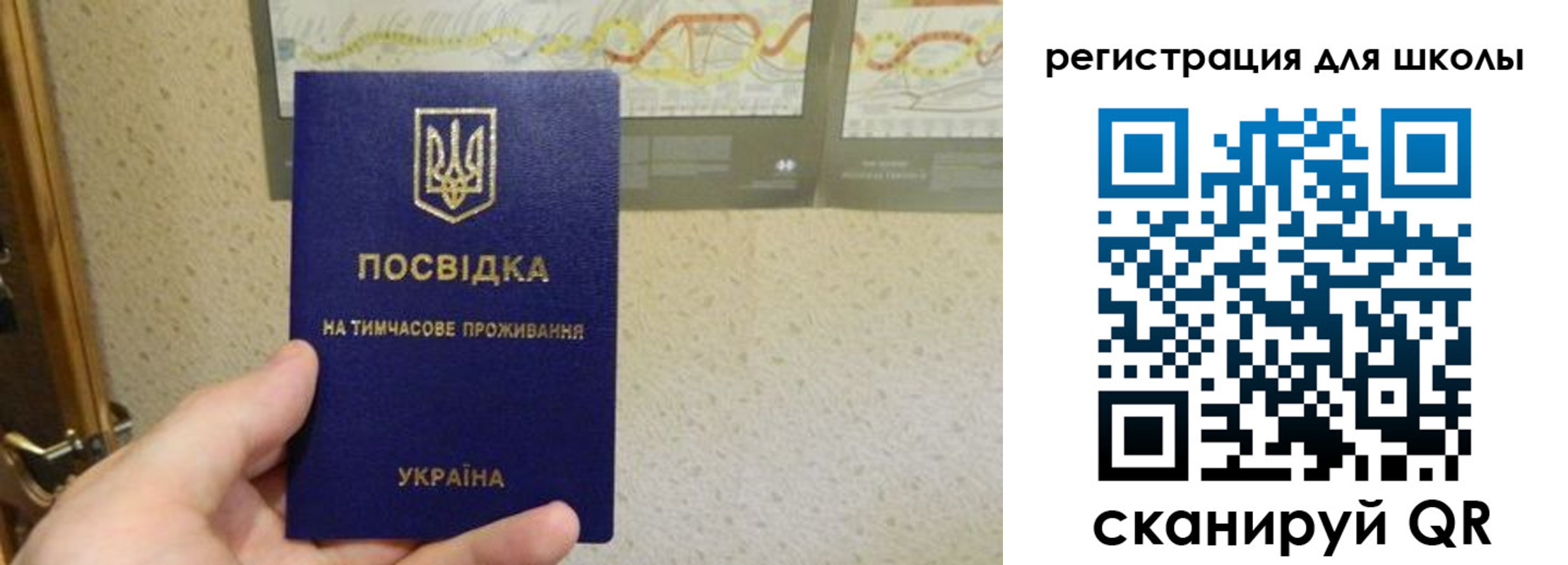 временная прописка в Карабаново
